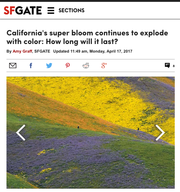 How long will it last Emily Wick